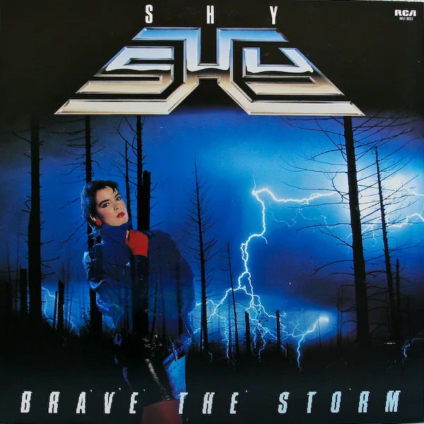 Shy - Brave The Storm